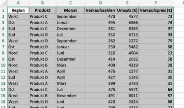  Screenshot einer markierten Tabelle in Excel gefüllt mit Daten. 